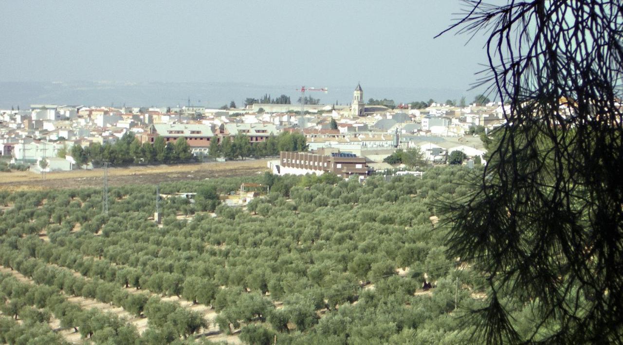 Hotel La Zambra Mancha Real Bagian luar foto